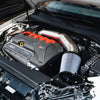 GAS Omega 5 Inch Titanium Intake, Audi RS3/TTRS