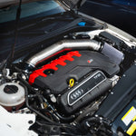 GAS Omega 5 Inch Titanium Intake, Audi RS3/TTRS