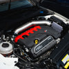 GAS Omega 5 Inch Titanium Intake, Audi RS3/TTRS
