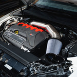 GAS Omega 5 Inch Titanium Intake, Audi RS3/TTRS